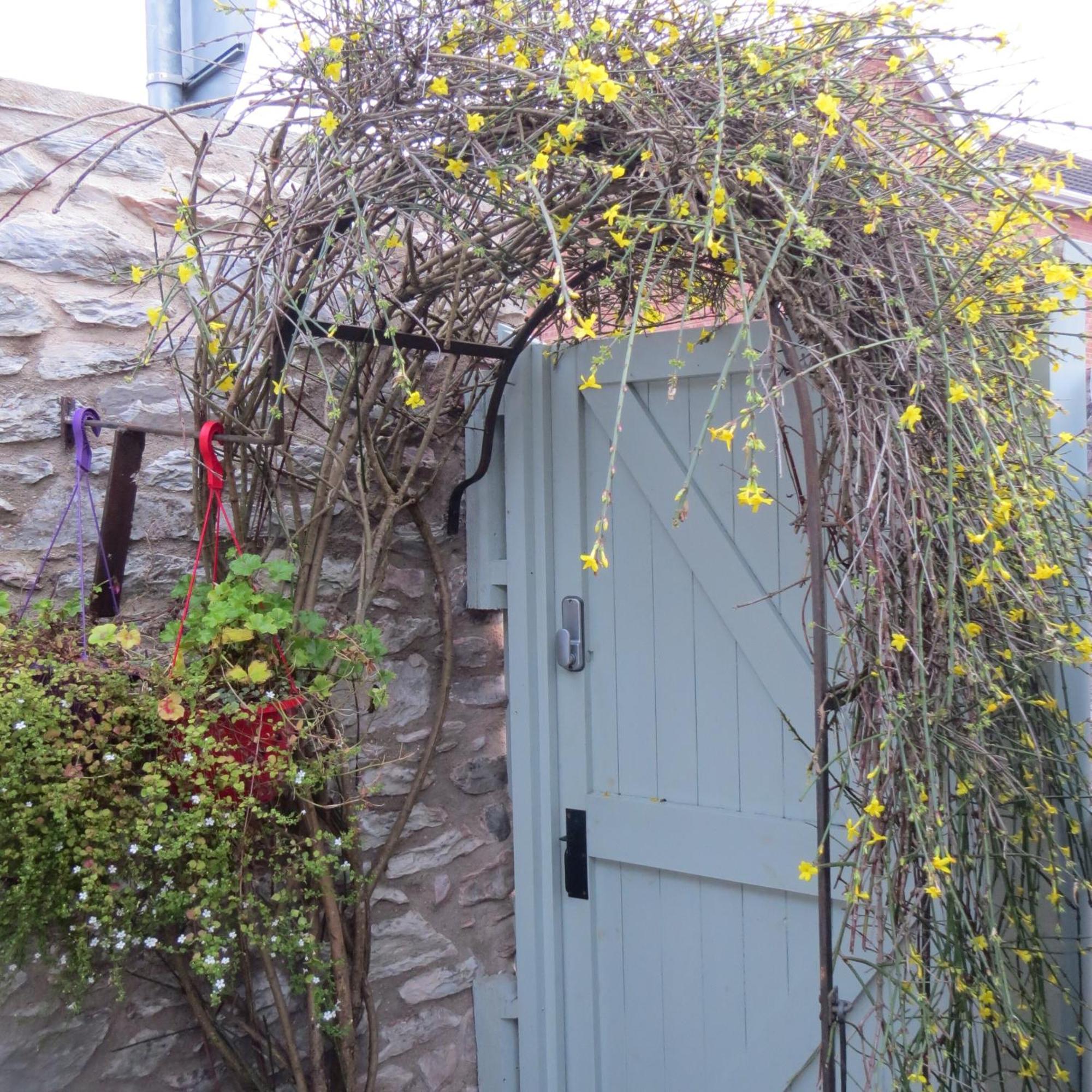 Frog Palace - Secure Parking-Outside Area-Topsham-Exeter-Beach-Chiefs-Wifi ภายนอก รูปภาพ